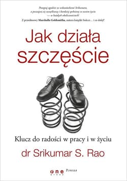 Jak działa szczęście Klucz do radości w pracy i w życiu - Rao Srikumar