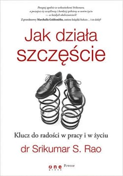 Jak działa szczęście. Klucz do radości w pracy i w życiu - ebook - Rao Srikumar