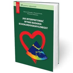 Jak interpretować wyniki badania... - Marcin Konopka, Wojciech Król,  Braksator Wojciech