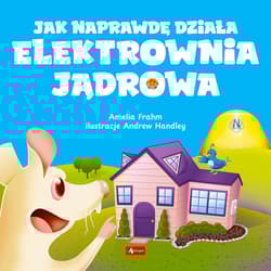 Jak naprawdę działa elektrownia jądrowa - Amelia Frahm
