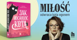 Galeria - zdjęcie nr. 3 - Jak odchudzić kota