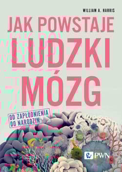 Jak powstaje ludzki mózg Od zapłodnienia do narodzin - Harris William A.