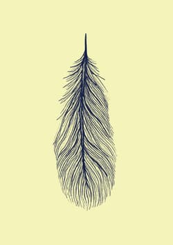 Jak robić nic - Jenny Odell