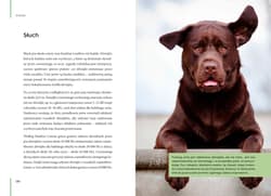 Galeria - zdjęcie nr. 3 - Jak rozmawiać z psem