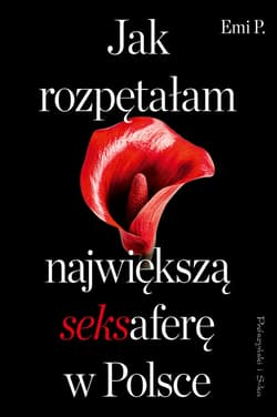 Jak rozpętałam największą seksaferę w Polsce - ebook - P. Emi