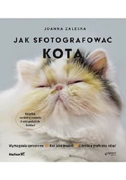 Jak sfotografować kota