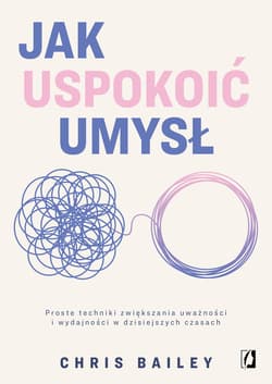 Jak uspokoić umysł - ebook - Chris Bailey