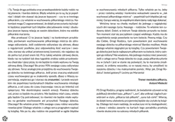 Galeria - zdjęcie nr. 2 - Jak wychować piłkarskiego Mistrza. I nie spieprzyć mu przy tym życia.