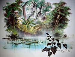 Galeria - zdjęcie nr. 5 - Jak zostałam peruwiańską żoną