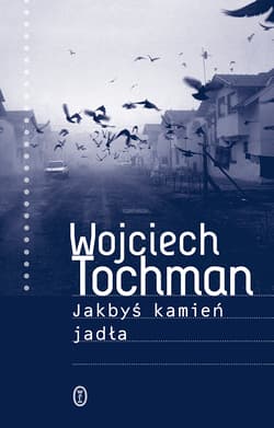 Jakbyś kamień jadła - Wojciech Tochman