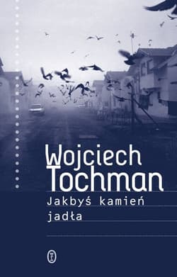 Jakbyś kamień jadła - Wojciech Tochman