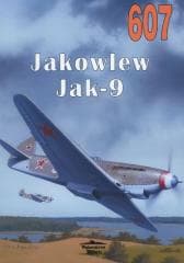 Jakowlew Jak-9 607 - Nikołaj Yakubowicz