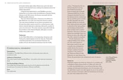 Galeria - zdjęcie nr. 3 - Japanese Myths wer. angielska