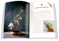 Galeria - zdjęcie nr. 3 - Japonia. Sekrety kwitnącej wiśni