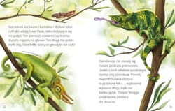 Galeria - zdjęcie nr. 2 - Jaszczurki małe i duże. Młodzi przyrodnicy. Dookoła świata
