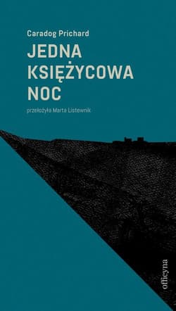 Jedna księżycowa noc - ebook