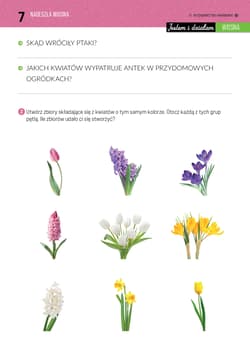 Galeria - zdjęcie nr. 4 - Jestem i działam Wiosna Materiały dla uczniów z niepełnosprawnością intelektualną
