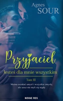 Jesteś dla mnie wszystkim. Przyjaciel. Tom 3 - Agnes Sour