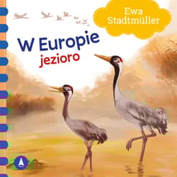 Jezioro. W Europie - Ewa Stadtmuller