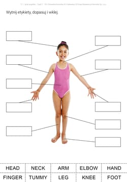 Galeria - zdjęcie nr. 2 - Język angielski Karty pracy dla uczniów ze specjalnymi potrzebami edukacyjnymi Część 2