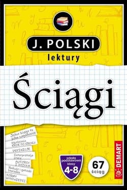 Język polski. Lektury. Ściągi edukacyjne - Anna Wróbel