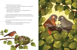 Galeria - zdjęcie nr. 2 - Jutro będę dzielny