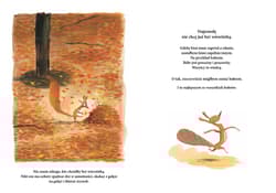 Galeria - zdjęcie nr. 2 - Już nie chcę być wiewiórką