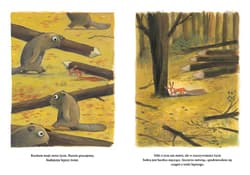 Galeria - zdjęcie nr. 3 - Już nie chcę być wiewiórką