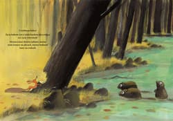 Galeria - zdjęcie nr. 4 - Już nie chcę być wiewiórką