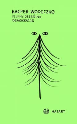 Kacper Wodiczko - Piękny dzień na demokrację - Kacper Wodiczko