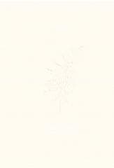 Kalcyt - Aleksandra Byrska