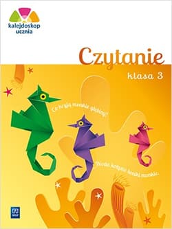 Kalejdoskop ucznia Czytanie Zeszyt ćwiczeń klasa 3 szkoła podstawowa - Brożek Adam, Dobkowska Joanna