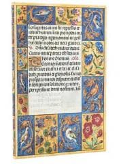 Kalendarz książkowy maxi 2026 Spinola Hours