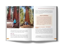 Galeria - zdjęcie nr. 3 - Kalifornia. Jaka jesteś, zachodnia Ameryko?