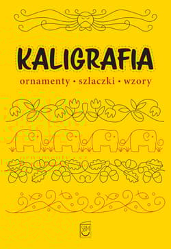 Kaligrafia. Ornamenty, szlaczki, wzory - Marek Regner
