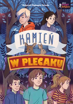 Kamień w plecaku. Małe wielkie sprawy - Małgorzata Strękowska-Zaremba