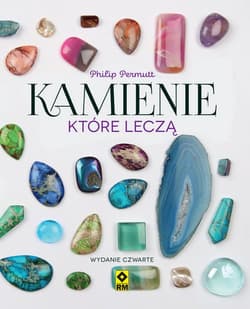 Kamienie które leczą - Philip Permutt