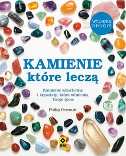 Kamienie, które leczą - Philip Permutt