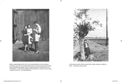 Galeria - zdjęcie nr. 4 - Kamienie na szaniec