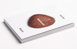 Galeria - zdjęcie nr. 2 - Kamionek