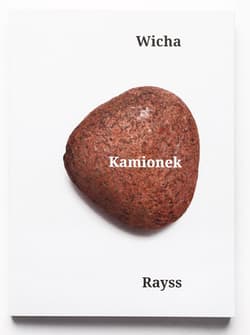 Galeria - zdjęcie nr. 4 - Kamionek