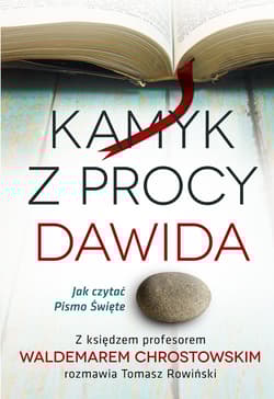 Kamyk z procy Dawida Jak czytać Pismo Św. - Chrostowski Waldemar, Rowiński Tomasz