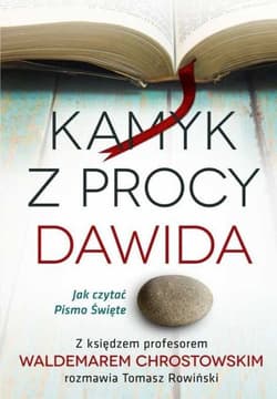 Kamyk z procy Dawida Jak czytać Pismo Św. - Chrostowski Waldemar, Rowiński Tomasz