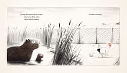 Galeria - zdjęcie nr. 2 - Kapibary