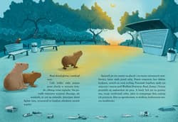 Galeria - zdjęcie nr. 3 - Kapibary na gigancie