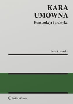 Kara umowna. Konstrukcja i praktyka - Beata Stryjewska