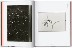 Galeria - zdjęcie nr. 2 - Karl Blossfeldt. The Complete Published Work. 40th Ed. wer. angielska