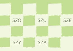 Galeria - zdjęcie nr. 5 - Karty artykulacyjne Szumiące