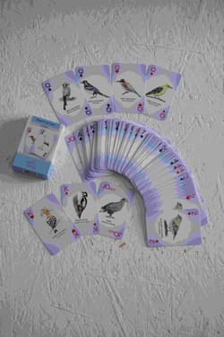 Galeria - zdjęcie nr. 3 - Karty do gry Ptaki