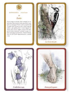 Galeria - zdjęcie nr. 2 - Karty leśne